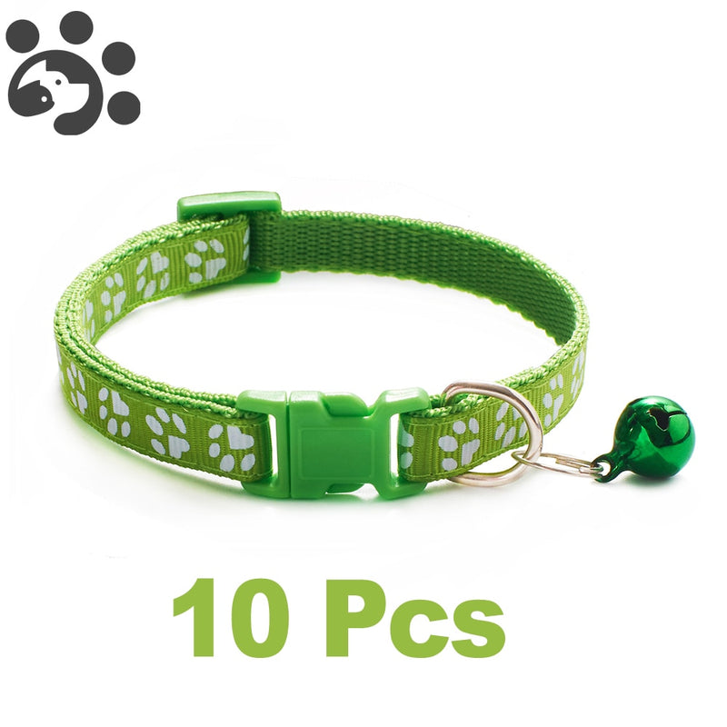 Conjunto com 10 coleiras para Pets de pequeno porte  (Seu pet estiloso com várias cores)