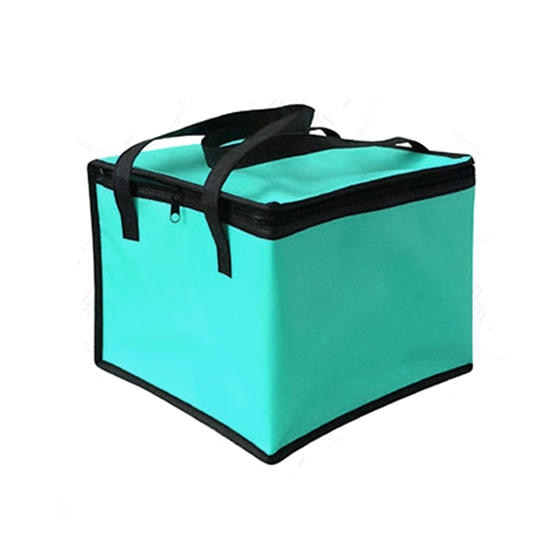 Bolsa térmica isolada com Zíper, bolsa para churrasco ,praia, piquinique... ( Várias cores)