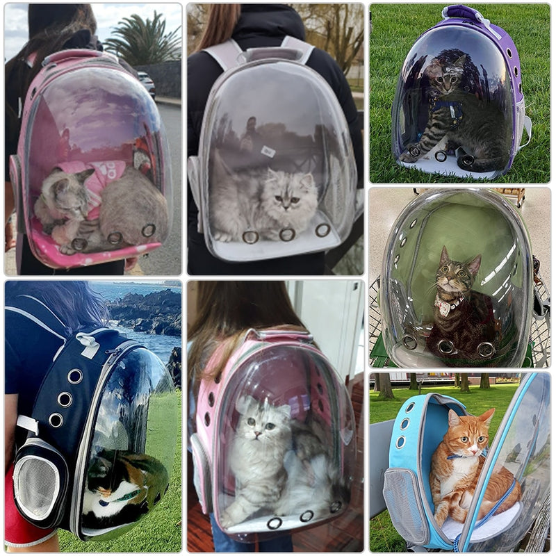 Bolsa de transporte para gatos