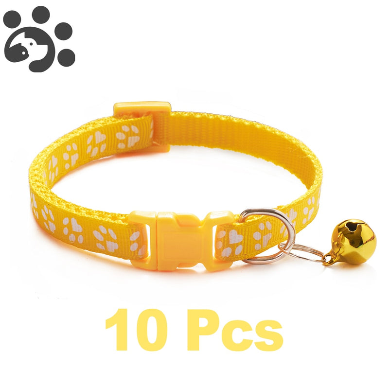 Conjunto com 10 coleiras para Pets de pequeno porte  (Seu pet estiloso com várias cores)